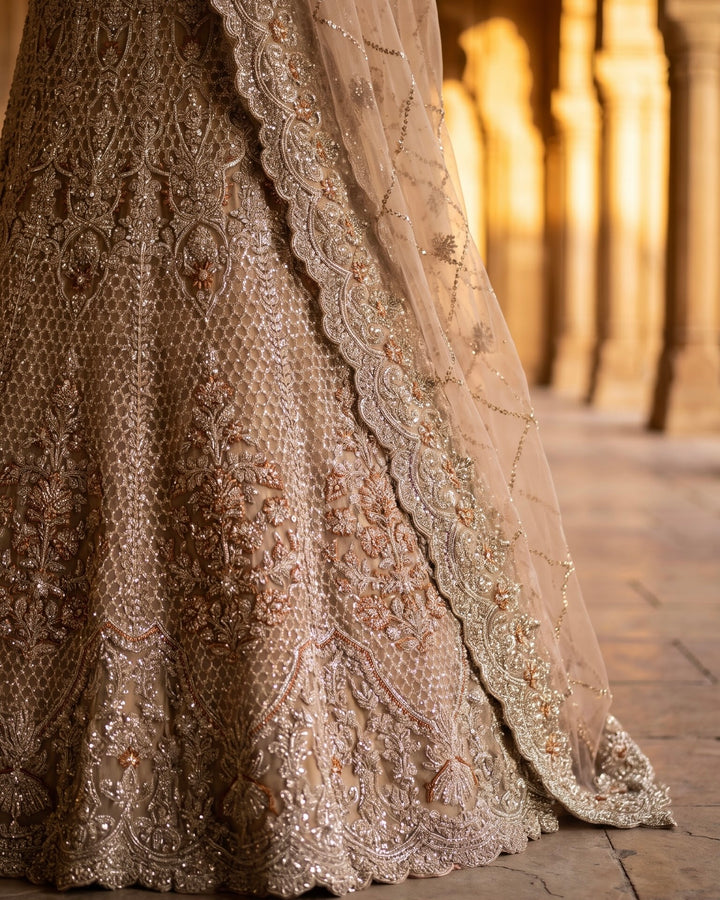 Beige Net Embroidered Dupatta with Elegance (54601)