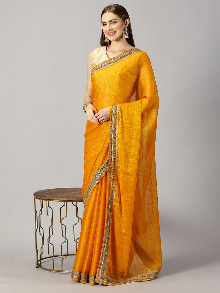 Chiffon Stone Embroidered Saree