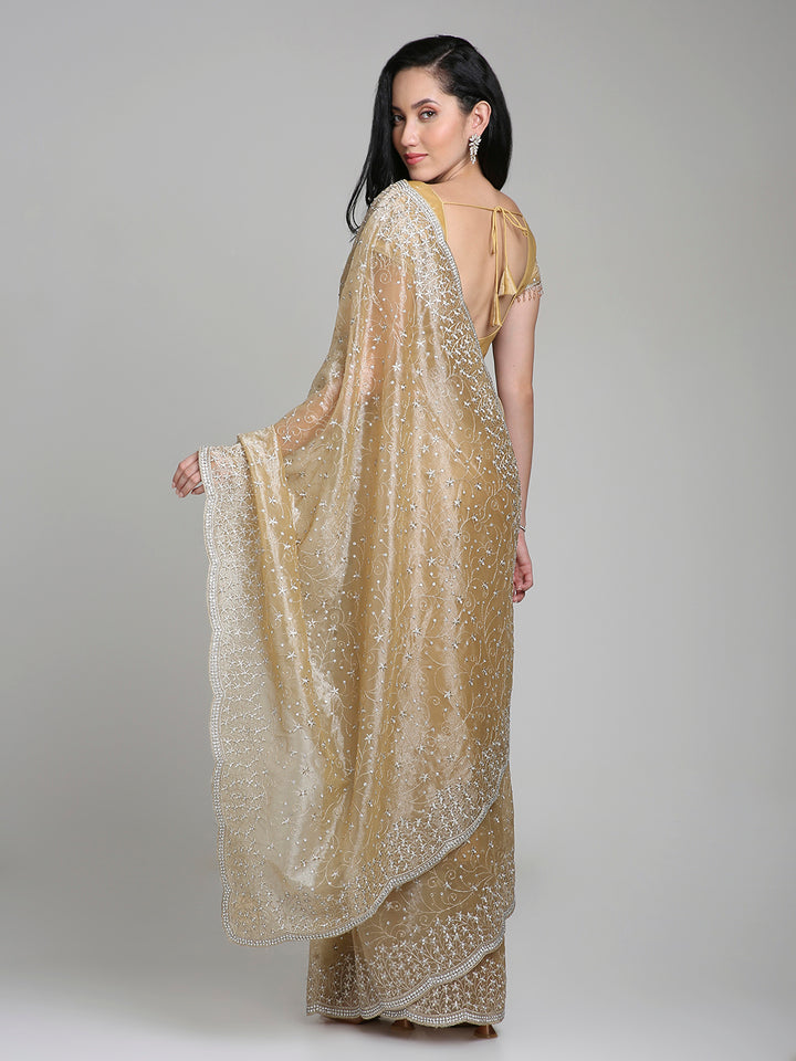 Mehr – Champagne Gold Net Saree with Silver Sequin Detailing | Fazals