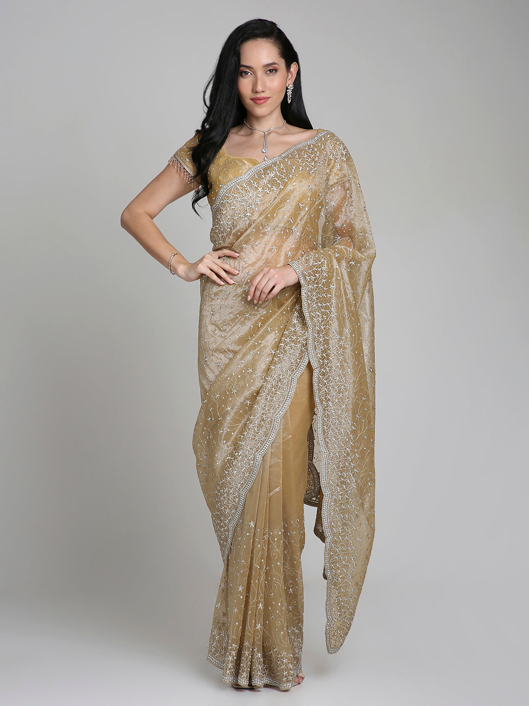 Mehr – Champagne Gold Net Saree with Silver Sequin Detailing | Fazals