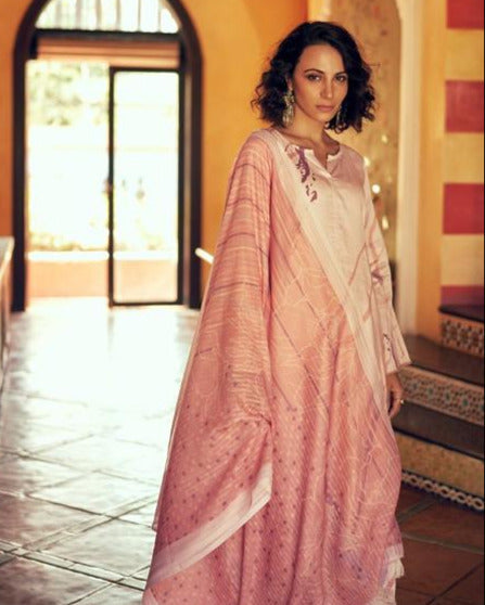 44429 - Printed Cotton Embroidered Suit With Cotton Duppatta